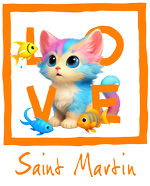 Orange Cat Saint Martin