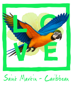 Green Parrot St Martin