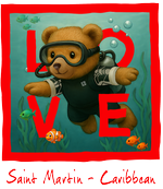 Red Diving Bear St Martin