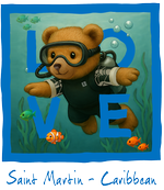 Blue Diving Bear St Martin