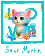 Turquoise Cat Saint Martin