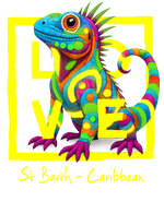 Caribbean yellow iguana