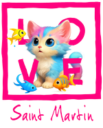 Fuchsia Cat San Martin